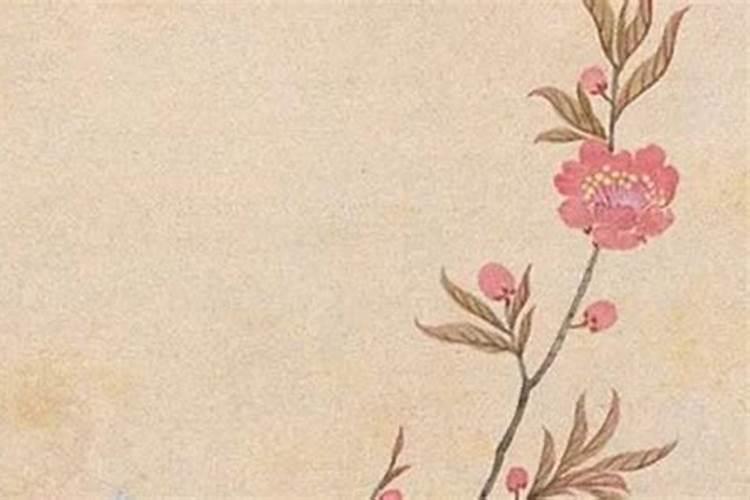 57年属鸡的女人晚年命