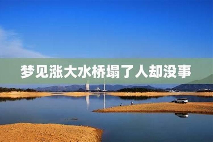 十二生肖男女婚配表