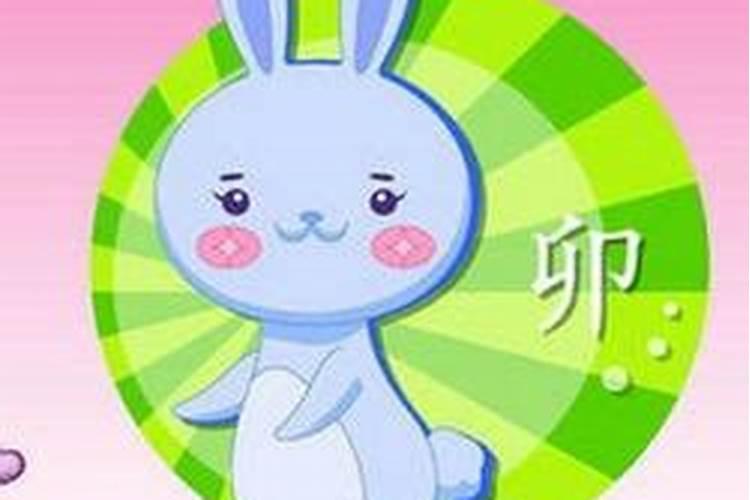 姻缘测试:属兔和属狗的合不合 婚姻怎么样