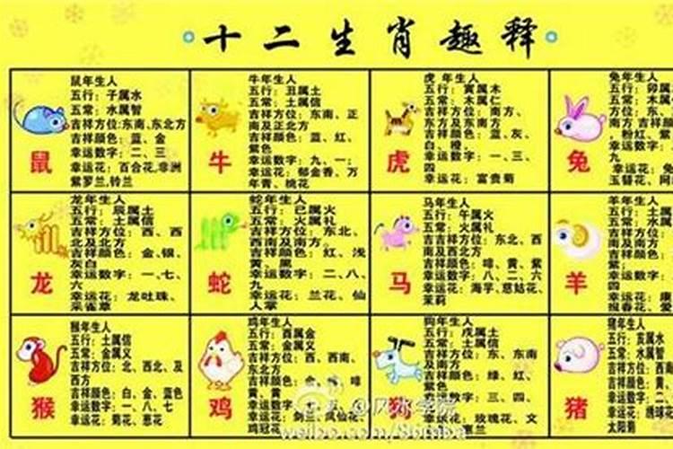 五行属火缺木该怎么补