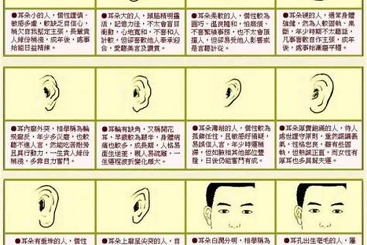 女人耳朵的形状与命运有什么关系？