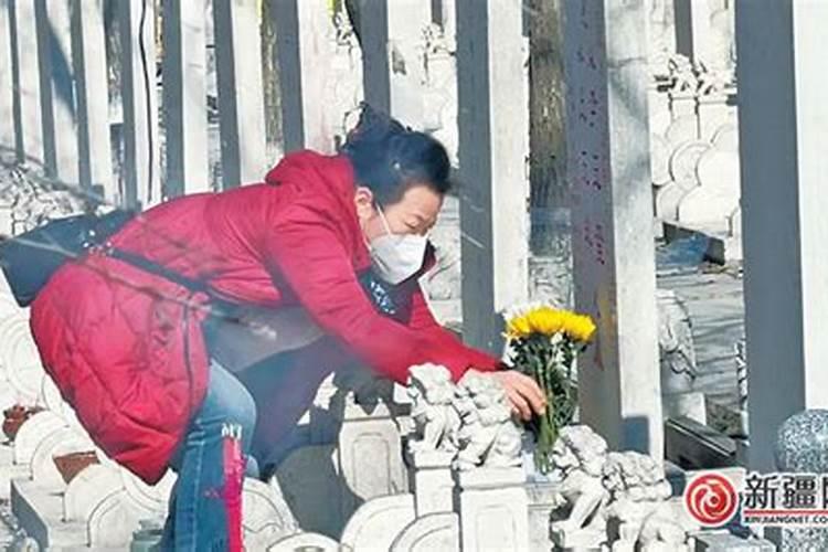 属鼠的人2025年运势及运程