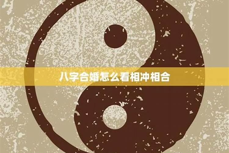 2025年最旺的生肖是哪一位
