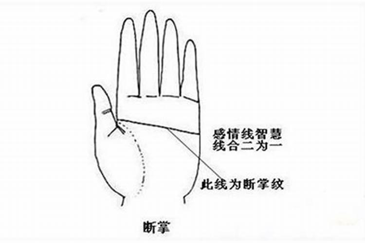 通关手有什么特征？