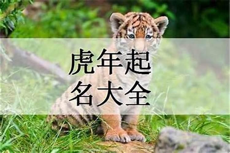 属虎女孩起名宜用字