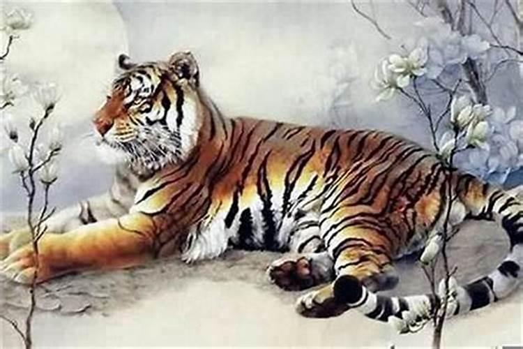 属虎妈妈生虎宝宝好不好 本命年忌生属虎人？