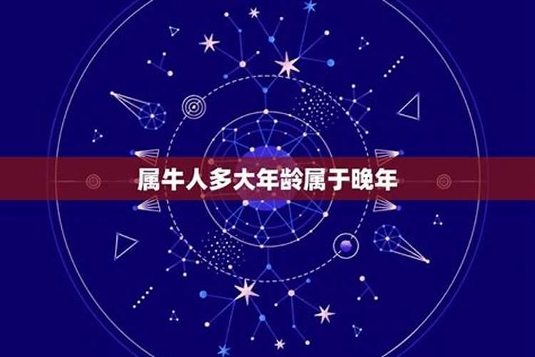 属牛2025年运程分析