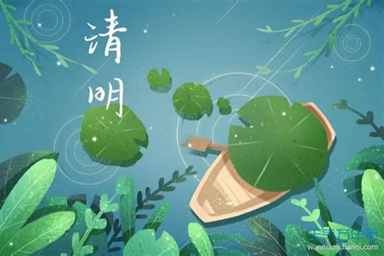 生辰八字解读,生肖猪2020年运势大全
