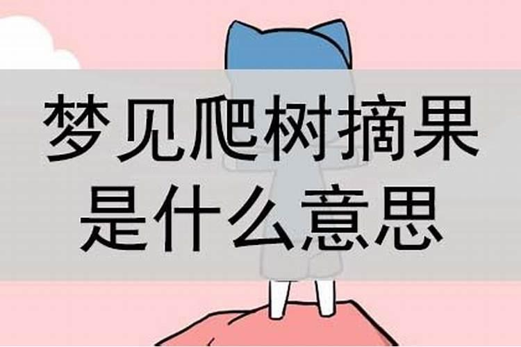 梦见自己很高掉下来的预兆