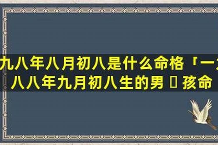 乙丑年农历九月初八戌时生缺什么