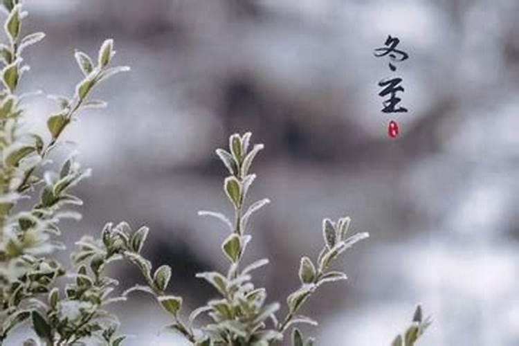 女人命带华盖晚年有孩子吗