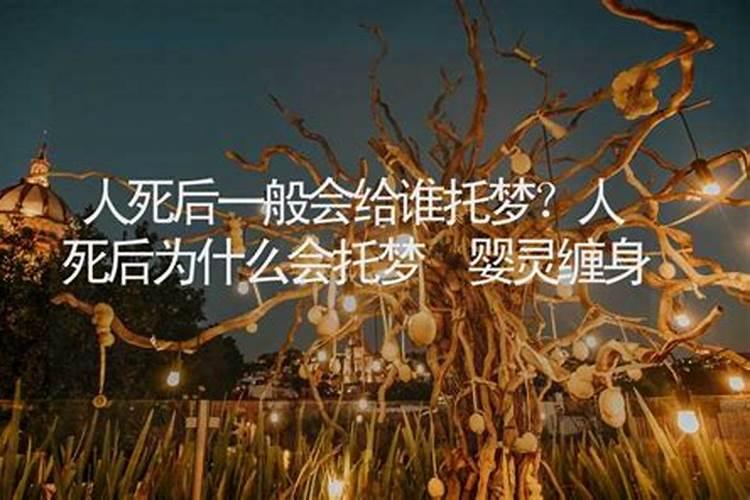 汕尾特色美食小吃有哪些