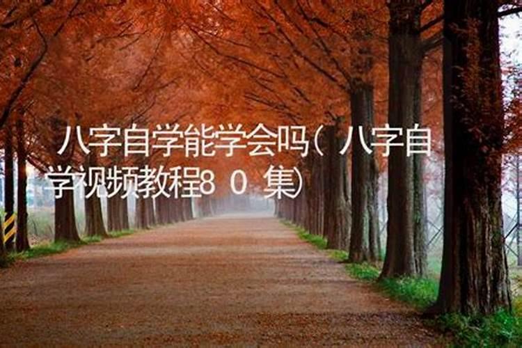 周易可以自学测八字命理吗 盲派八字命理17集