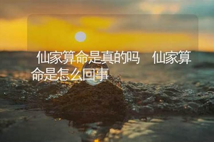 问仙和算命一样吗
