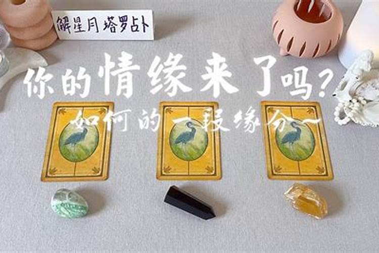 塔罗测试你真正的姻缘,测试姻缘