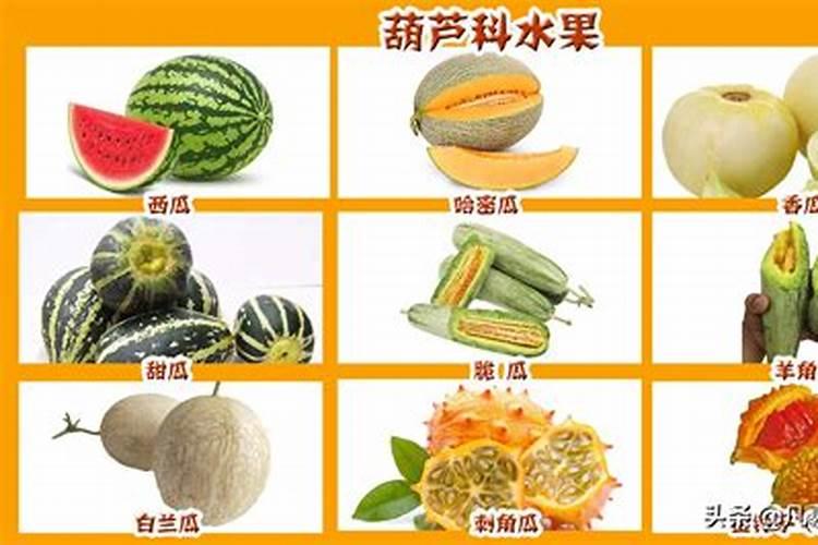 重阳节必吃的6种水果