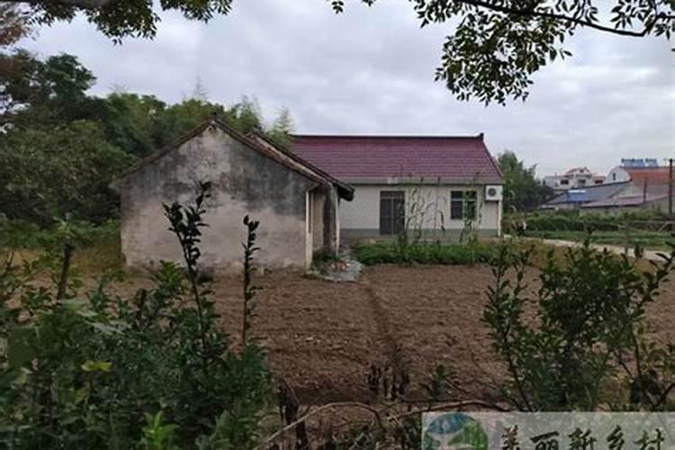你对农村宅基地强占和智占的人有什么看法？建议应该怎么办？
