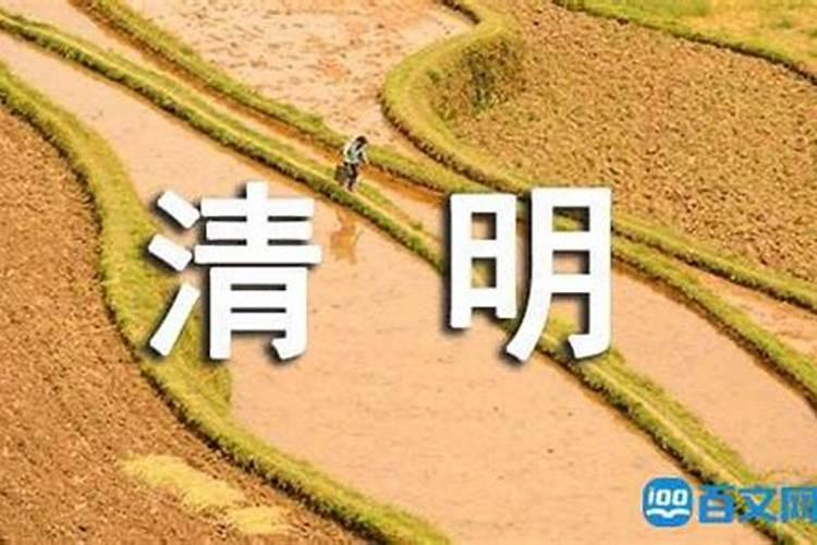 清明节去哪里玩人少,清明节 去哪儿玩