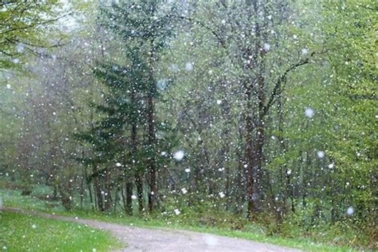 周公解梦梦到下雨下冰雹刮风中行走