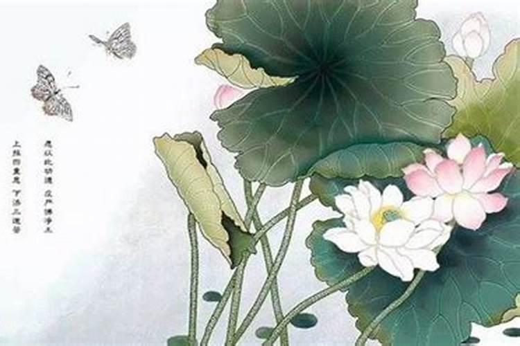 祭拜婴灵 给婴灵立神主牌 是要找神婆还是去什么庙里？求具体答案百度知 ...