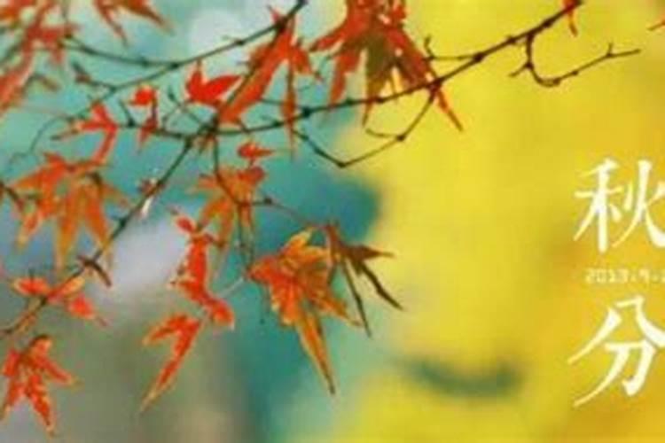 秋分节气禁忌