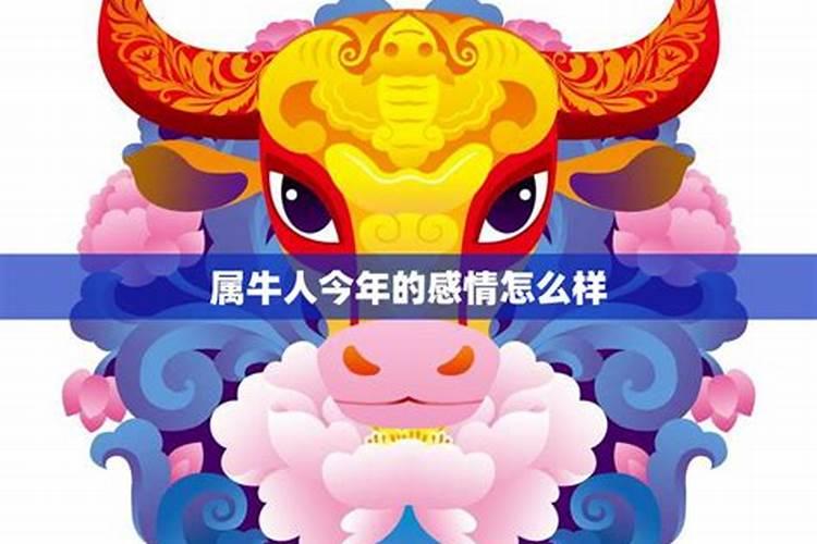 1985属牛2024运势及运程1985属牛2024年运势及运程每月运程