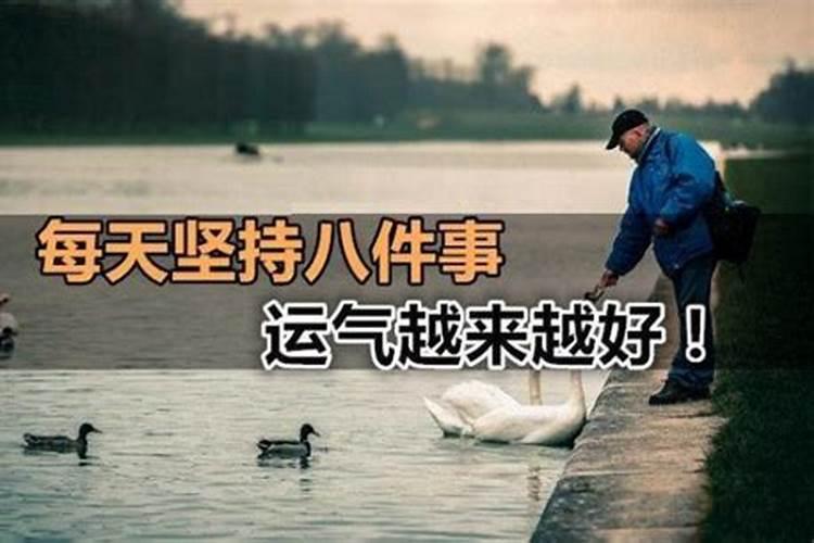 如何提升运气财运