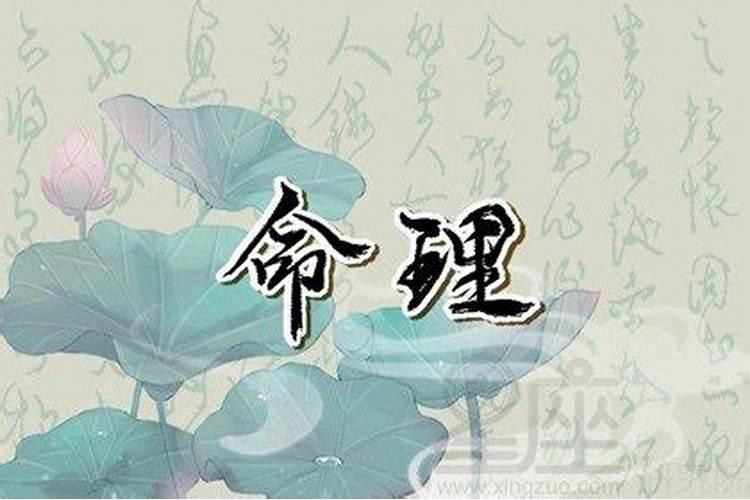 1977年出生属蛇在2025全年运势