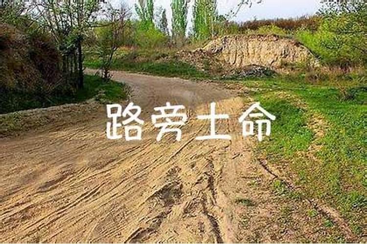 1991路旁土命和什么命最配 五行婚配