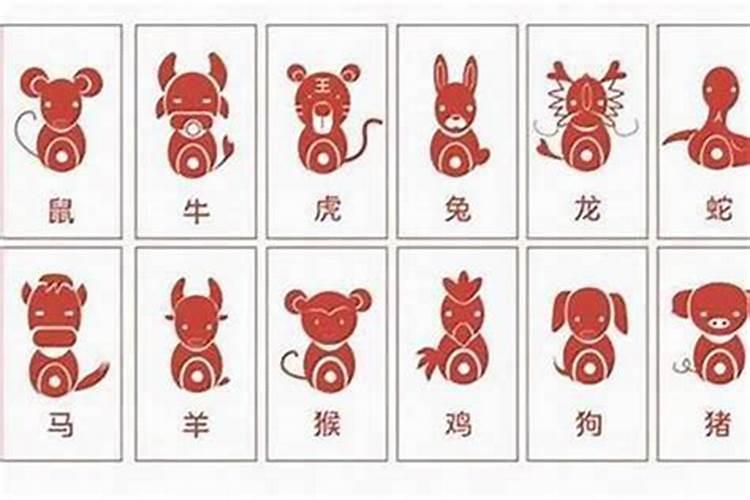 两个属狗的结婚相冲吗