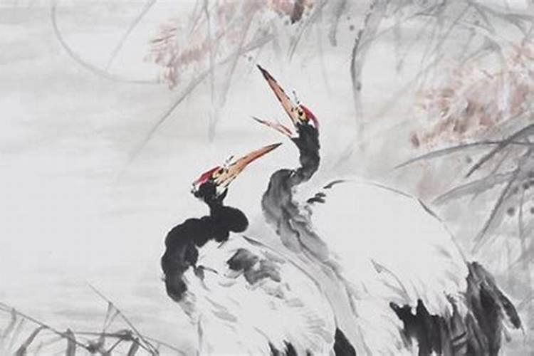 真童子与假童子的命理区别解析