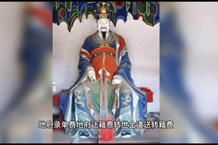 属兔人2025年全年运势及运程