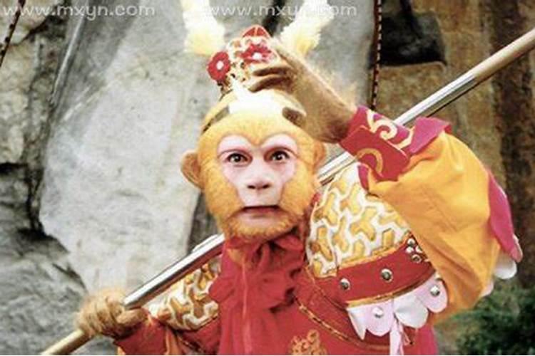 84年2025年属鼠人的全年运势