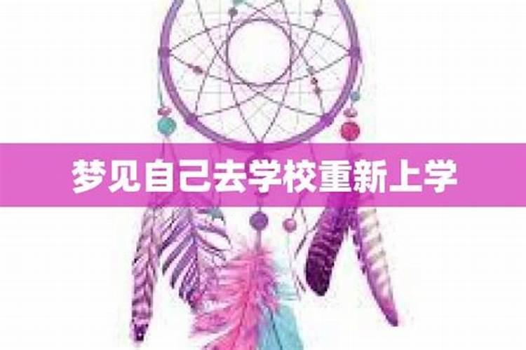 属蛇年犯太岁的四个属相