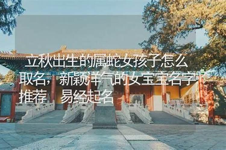 七大招财旺财痣相解析