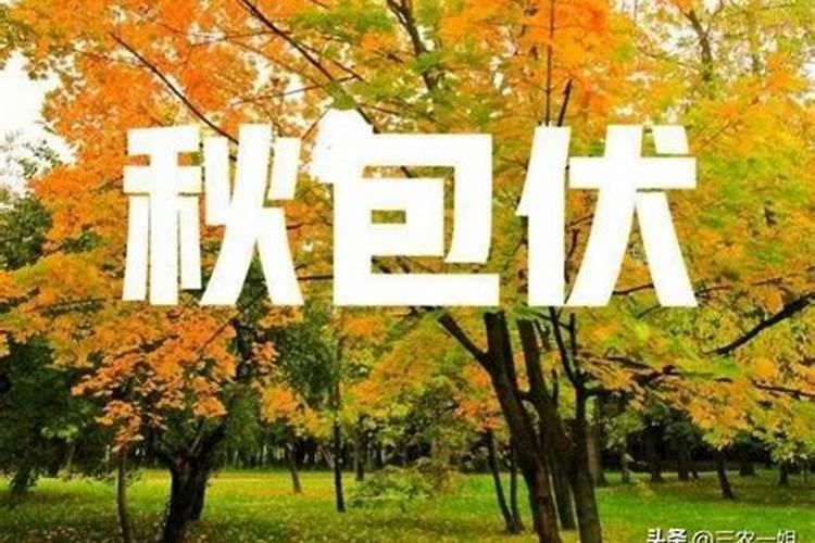 女走食神大运预示什么