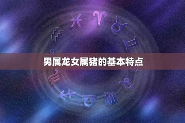 属猪女和属龙男的婚姻好吗,女猪和男龙相配吗