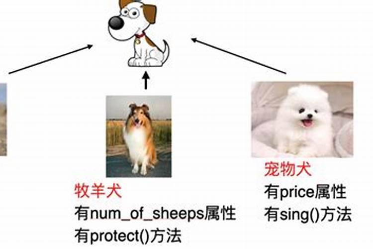 八字合婚点数几点最好,八字合婚怎样算好？
