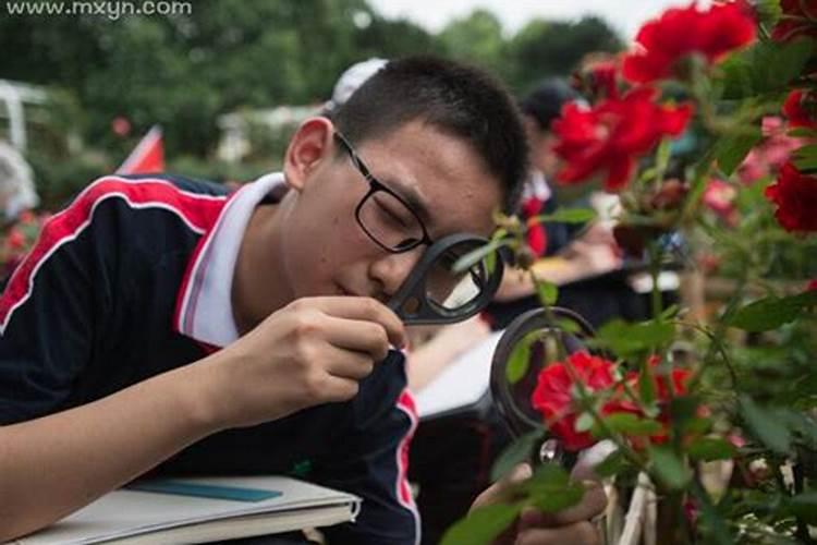 做梦梦到初中同学