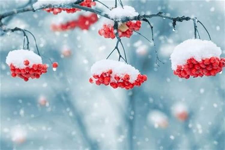 梦见雪化了是什么意思？
