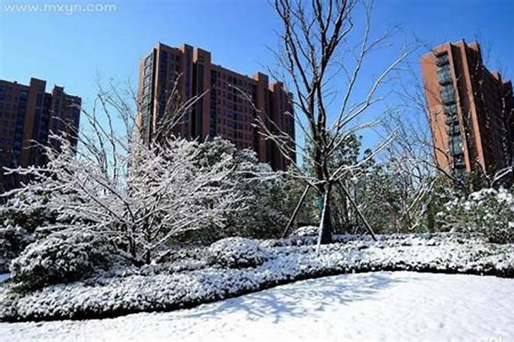 梦见雪化了是什么征兆