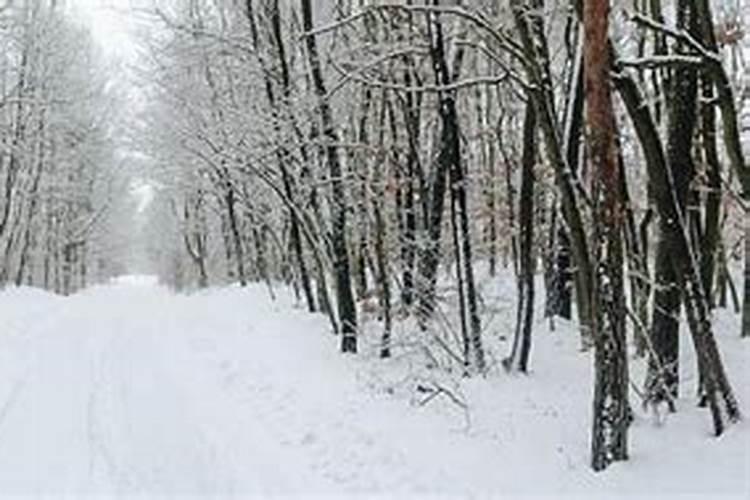 梦见雪化了是什么意思？