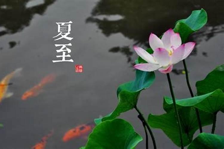 二十四节气立夏之后是什么