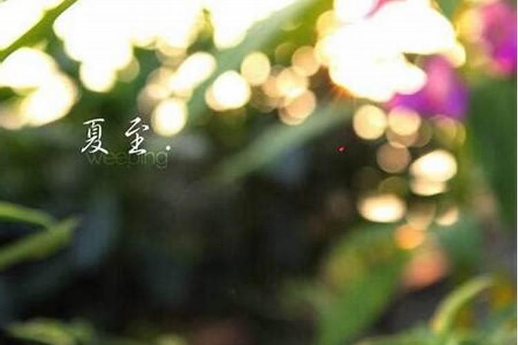 24节气的顺口溜有哪些？