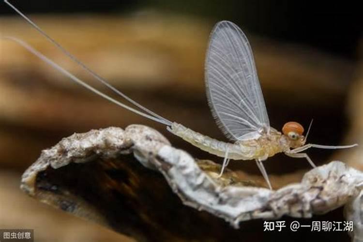 简短文艺且惊艳的句子 有哪些简短文艺且惊艳的句子