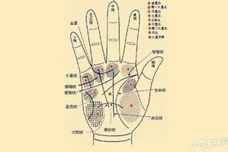 ...意思啊？菩提树下菩提子菩提树上菩提叶问心问道菩提种悟道悟心菩提...