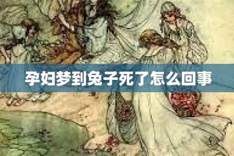 属鸡的和属兔的合适在一起吗？