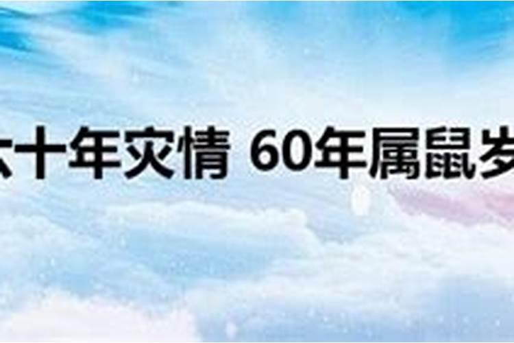 属鼠的女人2025年运势全年