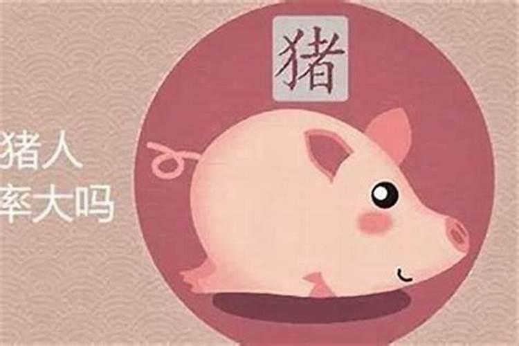 71年属猪人2025年运势