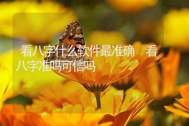 1999年属兔男和什么属相最配最合适 上等婚配是谁